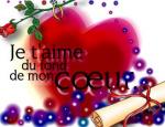 anouche