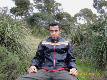 walid